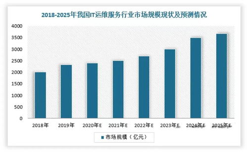 2024年中國IT服務行業研究報告 軟件外包服務的演進、挑戰與機遇
